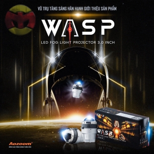 Wasp Fog