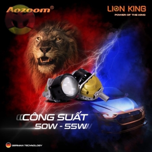 LED LION KING